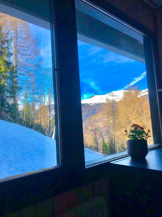 Apartmán **New**Marilleva 1400**Trilocale Sulle Piste Exteriér fotografie